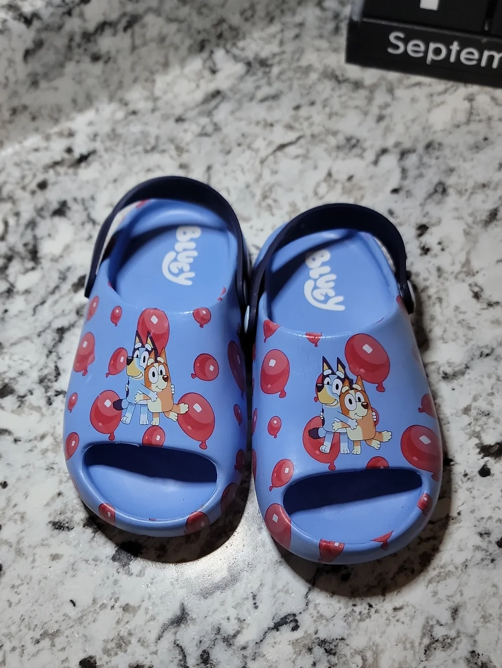 Kids Bluey Cartoon Balloon Slip-On Sandles/Slippers- Never Worn. Size Large